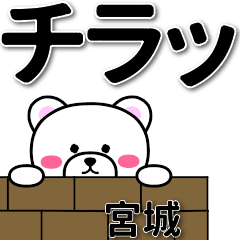 [LINEスタンプ] 宮城専用デカ文字