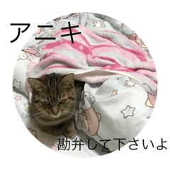 [LINEスタンプ] 髙橋家part2