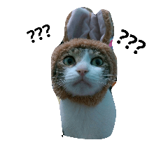 [LINEスタンプ] Meow stars CAT