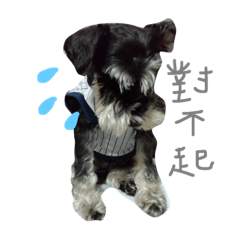 [LINEスタンプ] Cute puppy Schnauzer dog