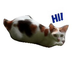 [LINEスタンプ] cat (white)