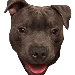 [LINEスタンプ] Ollie the Staffy