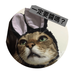 [LINEスタンプ] Public CAT