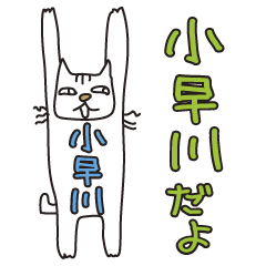 [LINEスタンプ] ばんざい猫 小早川用の画像（メイン）