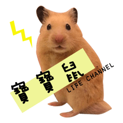 [LINEスタンプ] kiwi hamster's Channel