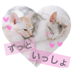 [LINEスタンプ] 子猫のうにといくら