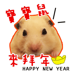 [LINEスタンプ] kiwi happy new year！！