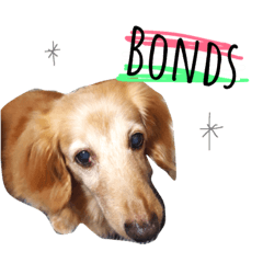 [LINEスタンプ] Bonds stumps