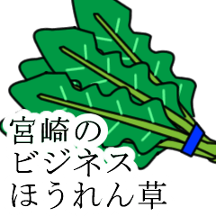 [LINEスタンプ] 宮崎のビジネスほうれん草