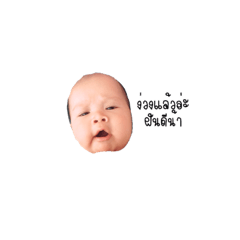 [LINEスタンプ] Tinin in fml