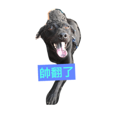 [LINEスタンプ] Lin dog