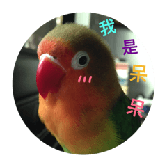 [LINEスタンプ] Mi loro tonta