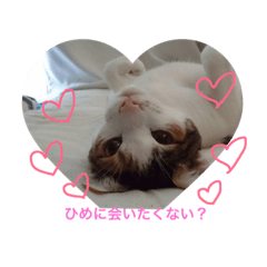 [LINEスタンプ] ひめちゃんのためのスタンプ