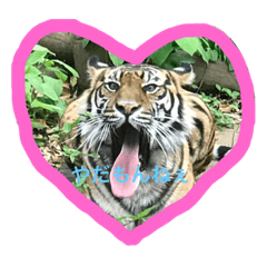 [LINEスタンプ] funny animals1