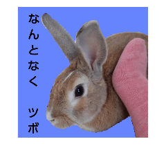 [LINEスタンプ] 兎々(とと)さん 2