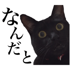 [LINEスタンプ] 黒猫こなつさん