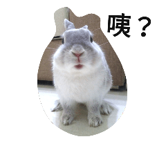 [LINEスタンプ] Bunny love lunch routine expression