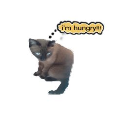 [LINEスタンプ] Tuesday with meawzz