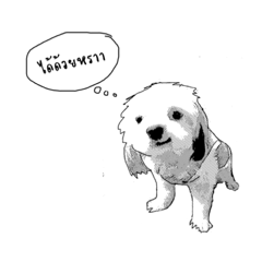 [LINEスタンプ] P'Lucky＆N'Manthed