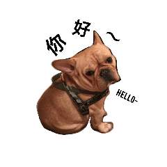 [LINEスタンプ] A-Nio - Life Is Hard