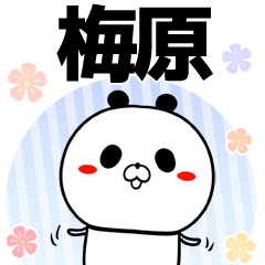 [LINEスタンプ] 梅原の元気な敬語入り名前スタンプ(40個入)