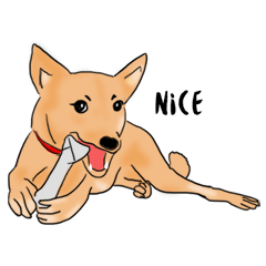 [LINEスタンプ] Formosan Mountain Dog - Sachima