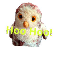 [LINEスタンプ] Experience the lazy little owly way