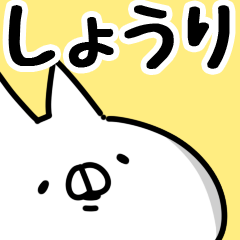 [LINEスタンプ] 【しょうり】専用