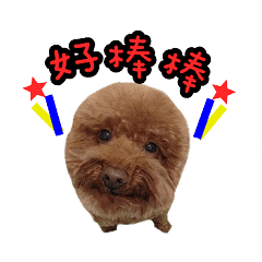 [LINEスタンプ] My ROCK Poodleの画像（メイン）