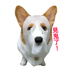 [LINEスタンプ] Corgi.Bao