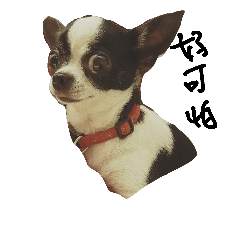 [LINEスタンプ] cute sister dog