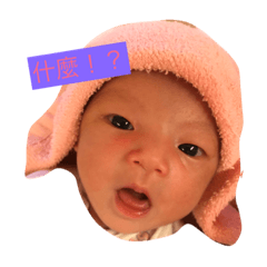 [LINEスタンプ] baby 2017 1