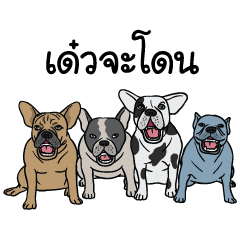 [LINEスタンプ] Dog Group