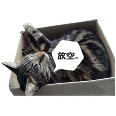 [LINEスタンプ] cat dog o2