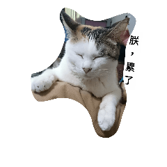 [LINEスタンプ] Cat's feeling.