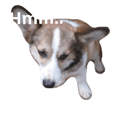 [LINEスタンプ] The year of dog (corgi)