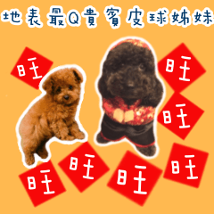 [LINEスタンプ] Good partner Pi-Pi and Chiou-Chiou.