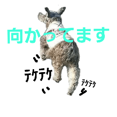 [LINEスタンプ] kazokudesuga nanika .. .の画像（メイン）