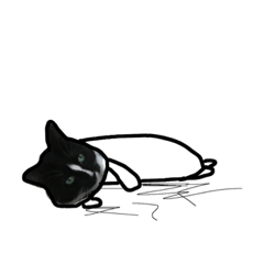 [LINEスタンプ] what a cat