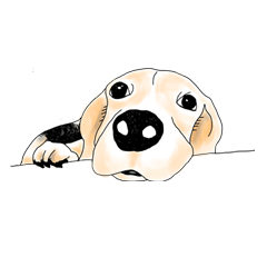 [LINEスタンプ] Beagle Daily Life 2 - A Tsauの画像（メイン）