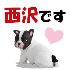 [LINEスタンプ] 西沢さんが使う可愛い子犬の名前スタンプの画像（メイン）