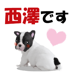 [LINEスタンプ] 西澤さんが使う可愛い子犬の名前スタンプの画像（メイン）
