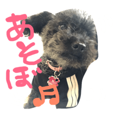 [LINEスタンプ] れおてぃんの日常