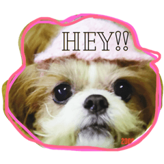 [LINEスタンプ] シーズー犬のなな