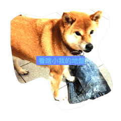 [LINEスタンプ] lovely lovely dog