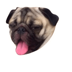 [LINEスタンプ] Pug Money