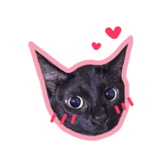 [LINEスタンプ] LoveBlackCat