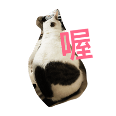 [LINEスタンプ] fatfat cat