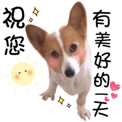 [LINEスタンプ] Piggy a life