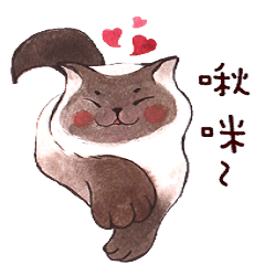 [LINEスタンプ] 猫Himaの画像（メイン）